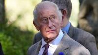 King Charles thanks firefighters who tackled UK wildfires as he issues climate change warning