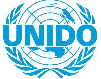 “SADC’s Advantage Lies in Complementarity, Not Individual Countries”: UNIDO Calls for Regional Mineral Value Chains