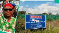 Abuja vs Lagos land prices: Where Nigerians can still buy plots from N3.5 million