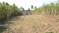 Farmers warned of prolonged dry spell