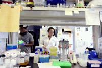 Letter: Know where your candidates stand on funding for cancer research