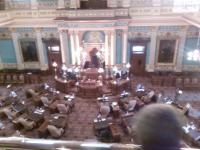 Michigan House panel examines petition process after constitutional amendment rejected