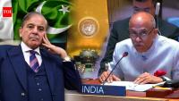 ‘9/11 Masterminds Were Not Hiding In Caves’: India Targets Pakistan At UNSC, Flags Afghan Crisis