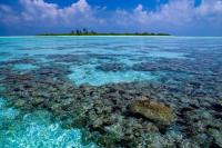 Maldives turning climate coordination into action