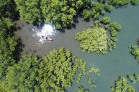 Hamilo Coast, WWF-Philippines renew marine conservation partnership