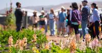 FARM: Summit seeks to strengthen agritourism