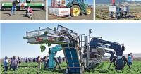 New 'smart' farm tech targets vegetable production