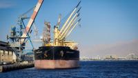 Houthi gains at Bab el-Mandeb expose Israel's unresolved Eilat shipping crisis - analysis
