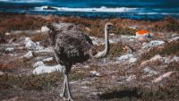7 South African destinations for an action-packed day