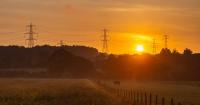 How National Grid is protecting nature through careful planning