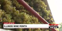 Blue Sky Vineyard celebrates Illinois Wine Month