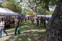 Artists come together to share their creations during Art in the Park