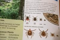 Maine deserves greater detail on tick-borne disease | Letter