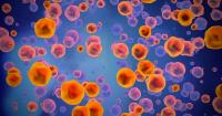 Maryland's Department of Health announces potential measles exposures in Ocean City Sept. 3-6