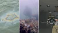 At Hawaiʻi's Pearl Harbor, USS Arizona still sheds 'black tears' more than 80 years later