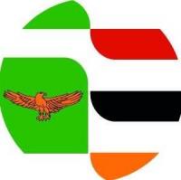 MMA Zambia fails to send full team to IMMAF WC