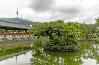 Seoul marks Chuseok holiday with late-night reading, folk shows, free museum entry