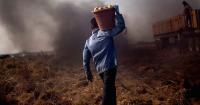 Threats, violence used to keep immigrant farmworkers in line, indictment says
