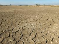 Embrapa Outlines Measures for Crop Climate Risks