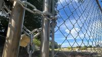 Thousands of South Carolina homes sit vacant despite record population growth