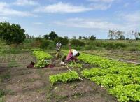 AbbeLabs Partners with ISRIC to Build Soil Intelligence Behind Africa’s Agricultural Transformation