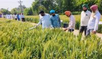 Govt announces over Rs 2.9 crore in soil carbon payments for 2,550 farmers