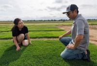 OSU Bluemuda Turfgrass Research