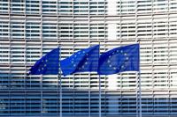 China voices serious concern over EU's procurement draft