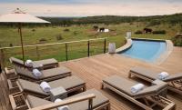 Farm to table safari