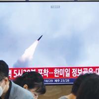 Kim’s sister says only ‘idiots’ think N Korea to give up nukes