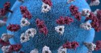 Measles spreads as state begins new vaccination effort; new research shows a way to target efforts