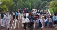 Hong Kong Universities Shine in 2026 ShanghaiRanking, with 90 Subjects in Global Top 50