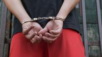 Delhi man dupes retired pharmacist of Rs 1.75 crore over fake plot docs; arrested