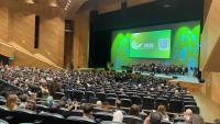 More than 5,500 people to become Irish citizens