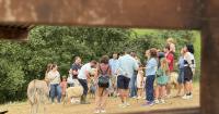 Visits to cheese factories are becoming fashionable: tourism with a lot of taste