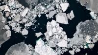 Satellite data shows accelerating ice loss in Greenland, Antarctica