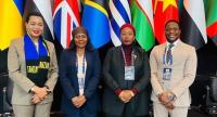 IPU Arusha meeting puts Africa’s mineral value-addition push under scrutiny