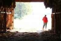 Kentucky agriculture has moved beyond tobacco. Some wonder what’s been lost. 