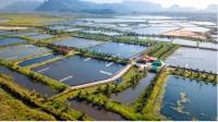 Youth urged to tap aquaculture opportunities