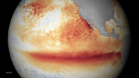 Ancient Corals Reveal Human-Driven Climate Change is “Supercharging” El Niño to Record Strengths