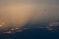 Welcome the Yellow Tails to the skies of East Africa
