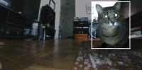Your robotic vacuum is a witness: What home robots mean for evidence, privacy and the law