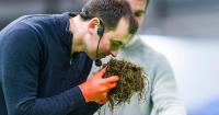 AgriScot unwraps a new award for annual silage competition