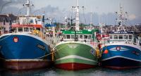 Europeche welcomes Danish pelagic group in bid to reinforce sustainable fishing agenda