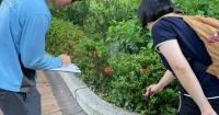 Hong Kong Reports Local Chikungunya Fever Case; Public Urged to Take Mosquito Precautions
