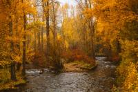 Montana's Best Spots To Check Out This Fall
