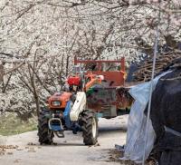 South Korea’s new agrivoltaics law sets 30-year permit ceiling