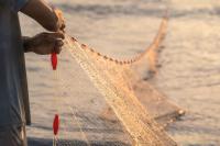 Fisheries sector seeks new funding as business opportunities expand