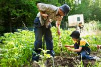 “Foundations in Farming and Homesteading + Pastured Laying Hens” on BrightU: The five-year homestead trap