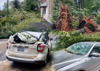 2 years since Hurricane Helene: Where does Clemson stand now?
